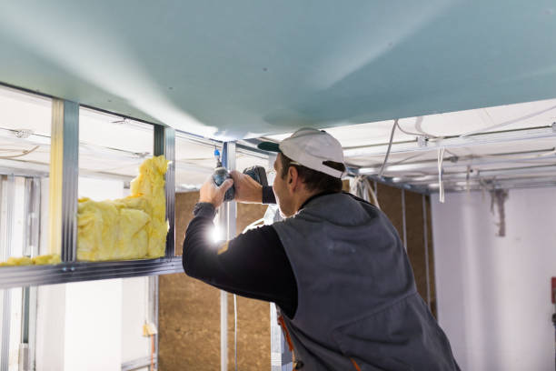 Best Fiberglass Insulation in Wilkinson Heights, SC