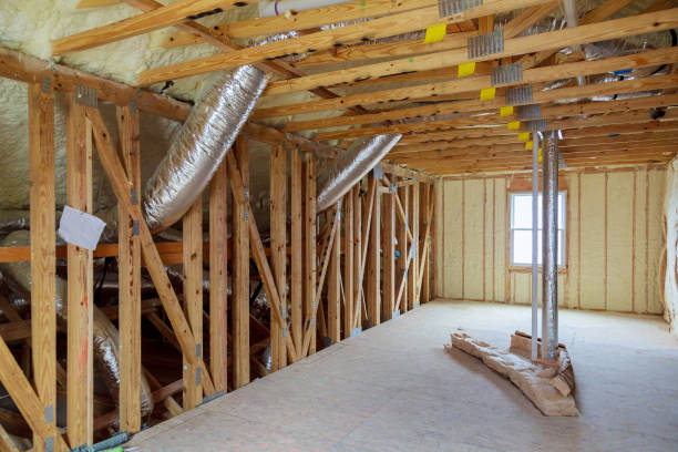 Best Specialized Insulation Services in Wilkinson Heights, SC