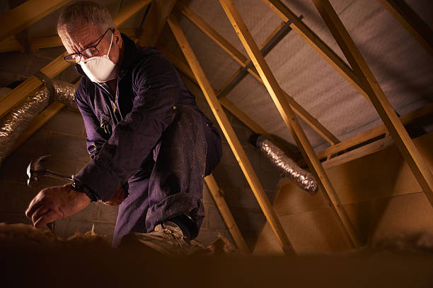 Best Eco-Friendly Insulation in Wilkinson Heights, SC